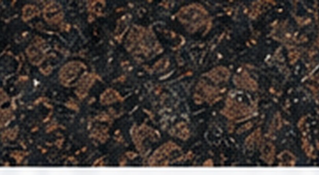 Tan Brown – granit indyjski